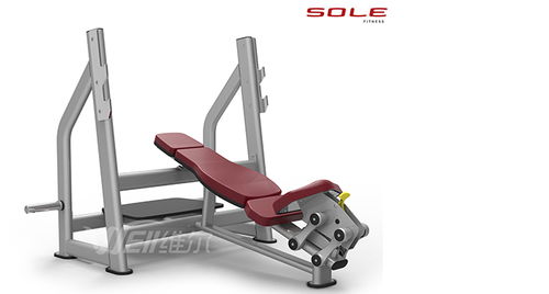 重庆桑拿房与健身器材选购指南 维尔健身器材等优质商家推荐